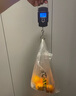 拜杰手提电子秤充电手提秤称菜电子秤弹簧秤称重秤手提称克秤 LY-190 实拍图