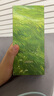 laifen徕芬新一代扫振电动牙刷SE礼盒款 莱芬舒适清洁护龈牙刷 情侣送男女友生日礼物 春山青 实拍图