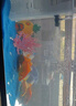 森森鱼缸过滤器三合一内置小型水族箱过滤系统增氧泵XQP-1000F 15W 实拍图