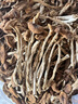 金唐茶树菇250g/袋 茶树蘑菇山珍菌菇干货 火锅煲汤食材 实拍图