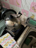 美厨（maxcook）烧水壶 304不锈钢水壶6L加厚鸣音 煤气电磁炉通用 乐厨系列MCH418 实拍图