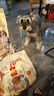 麦富迪（Myfoodie） 狗狗零食 鸡肉卷夹心牛皮180g成幼犬磨牙棒训练奖励宠物零食 实拍图