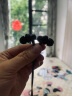 小米（MI）有线耳机 3.5mm 入耳式运动小巧轻量 通用耳麦 线控大动圈 适用小米华为荣耀手机 黑色 实拍图