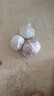 爆款精品紫皮蒜多瓣大蒜新鲜特价蒜头干蒜单果4-5cm 尝鲜装3头【75-100g】 实拍图