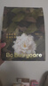 babycare山茶花防溢乳垫 一次性超薄柔软透气防溢乳贴乳垫 100片 晒单实拍图