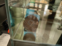 创宁变频潜水泵 CN-9500-60W 10档流量调节 鱼缸假山喷泉池循环抽水 实拍图