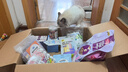 麦富迪宠物猫零食猫湿粮 成幼猫通用羊奶肉包 混合装70g*5 实拍图