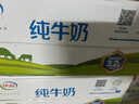 伊利 纯牛奶整箱 250ml*24盒 优质乳蛋白 礼盒装 实拍图