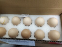 无抗鲜鸡蛋 谷物喂养鲜鸡蛋 单枚50g-60g 早餐食材 蛋香味十足 10枚装 实拍图