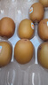 佳沛（zespri）新西兰 阳光金奇异果12粒礼盒特大果单果约122-146g 猕猴桃 水果 实拍图