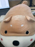 名创优品（MINISO）趴姿系大号趣味狗狗公仔毛绒玩偶玩具抱枕布娃娃生日礼物女卡其色 实拍图