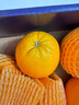 新奇士（Sunkist）美国黑标晚熟脐橙4斤礼盒装 单果180g起 生鲜水果 实拍图