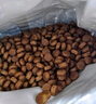 冠能猫粮成猫猫粮鸡肉味7kg 全价猫粮 稳固免疫 适口性强 实拍图