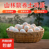 京喜加土鸡蛋 新鲜鸡蛋 山林自养鸡蛋40g正负5g早餐买菜溏心蛋京东包邮 鲜鸡蛋10枚 实拍图