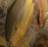 海名威宁德三去大黄鱼 对半厚切黄花鱼 净重700g/2片 海鲜水产鱼类 端午 实拍图