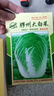 种菜记正宗山东胶州大白菜种子胶蔬秋季王白菜种籽冬储早熟农家蔬菜孑 胶州大白菜种子10克 实拍图
