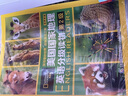 美国国家地理英语分级读物(第4级) 儿童英语阅读教材 绘本图书 实拍图