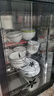 在丰（ZAIFENG）消毒柜商用餐饮不锈钢大容量家用消毒碗柜饭店厨房双门餐具立式消毒碗柜碗筷保洁柜 【280S钢-5层智控】光波+臭氧+沥水盘 实拍图