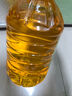 多力【张若昀同款】压榨玉米胚芽油5L 非转基因食用油 实拍图