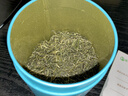 保银【自饮推荐】 信阳毛尖2026新绿茶明前特级嫩芽叶浓香250克 实拍图
