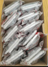 德力西（DELIXI）开关插座 CD815系列 10A斜五孔插座10只装 QSE86ZS/3*10 实拍图