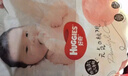 好奇（Huggies）铂金装纸尿裤NB84片(5kg以下)新生儿小号婴儿尿不湿小桃裤超薄 实拍图