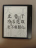 汉王（Hanvon）Clear7 Turbo+电纸书阅读器8核墨水屏电子书电子笔记本便携阅读办公本平板电脑Carta1300 实拍图