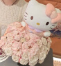 Hello Kitty三丽鸥毛绒玩具猫咪玩偶娃娃抱枕生日520母亲节礼物 凯蒂猫公仔 实拍图