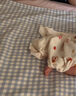 良良（liangliang）婴儿凉席抗菌儿童苎麻软凉席夏季宝宝床垫加大凉席幼儿园午睡凉席 【防螨抑菌】苎麻款-小萌虎 130*70cm 晒单实拍图