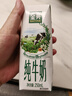 伊利金典纯牛奶整箱 250ml*16盒 3.6g乳蛋白 礼盒装 实拍图