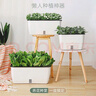 奥美优 种菜盆长方形种植箱塑料加厚自动吸水花盆种菜箱蔬菜种植盆 大号 实拍图