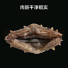 京东京造大连冷冻即食海参 净重500g 家庭装 8-10只 海鲜滋补 晒单实拍图