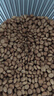 皇家皇家绝育成猫粮 SA37通用粮 1-7岁10KG 实拍图