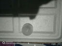 【京东快递】猫咪玩具球猫薄荷狗狗闪光发光球铃铛球玩具解闷神器 红色球1个【铃铛款】 实拍图