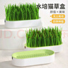 疯狂的主人猫草+10袋小麦种子盆栽无土水培薄荷去化毛球助排毛猫咪零食成幼 实拍图