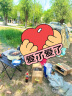 尚烤佳（Suncojia） 烧烤碳 无烟果木炭 围炉煮茶取暖炭 烤肉苹果木炭 烧烤燃料 5斤 实拍图