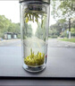 富光 男女士双层玻璃杯 高硼硅玻璃304茶隔水杯子 带茶隔泡茶杯500ml 实拍图
