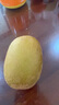 佳沛（zespri）新西兰 阳光金奇异果12粒礼盒特大果单果约122-146g 猕猴桃 水果 实拍图