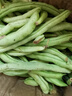 农家四季豆新鲜现摘云南长扁豆角农家应当季蔬菜芸豆现摘菜豆 新鲜四季豆3斤带箱 实拍图