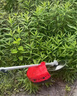 普朗德（PUANGD）汽油割草机大功率家用除草机打草机四冲程汽油机水稻收割机农具 实拍图