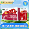 蒙牛早餐奶整箱儿童学生营养早餐牛奶 红枣味250mL*16盒 部分六月产 实拍图