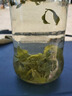 南同四海小叶苦丁茶80g小叶苦丁茶2024新茶降级芽头特正苦丁压茶品 实拍图