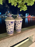 泰山啤酒泰山原浆啤酒28天鲜9度倒标全麦芽酿造啤酒整箱450ml*6瓶 28天两箱装 450mL 实拍图