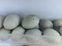 神丹特大松花皮蛋15枚1.05kg    无铅工艺松花皮蛋  源头直发包邮 实拍图