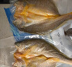 黄小渔宁德醇香黄鱼鲞 400g*3条 三去大黄鱼黄花鱼 烧烤食材源头直发 实拍图