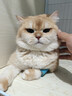 好主人猫粮 成猫猫粮 全价成猫天然粮通用鸡肉味 10kg/20斤 实拍图