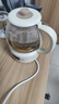 小熊（Bear）煮茶器煮茶壶 养生壶烹煮一体茶壶迷你蒸茶器 316L喷淋式不锈钢烧水壶黑茶茶具1升ZCQ-F10N7 实拍图