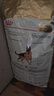 皇家狗粮 德牧成犬狗粮 犬粮 宠物大型犬 GS24 全价犬粮 ≥15月 12KG 实拍图