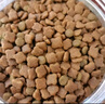 麦富迪狗粮 乖宝乐狗粮成犬通用均衡营养（牛肉蛋黄）10kg/20斤 实拍图