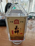 玉蝉老酒大曲光瓶52度500ml整箱浓香型白酒高粱酒泸州百年老窖池固态发酵 实拍图